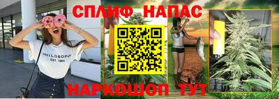 гашик Нарткала