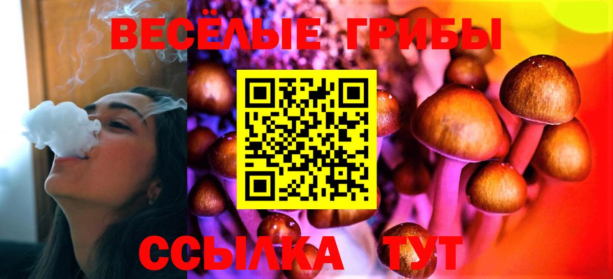 Галлюциногенные грибы Psilocybine cubensis Тамбов