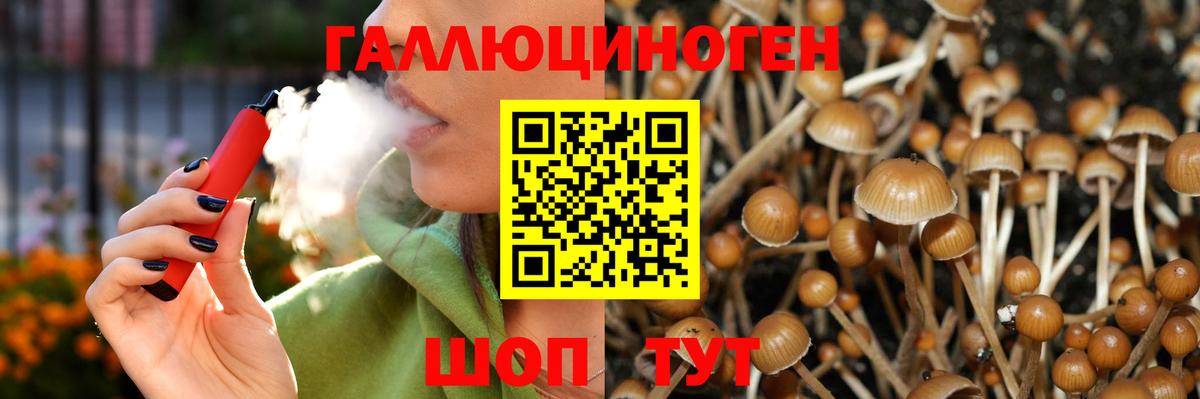 Псилоцибиновые грибы Magic Shrooms  магазин продажи наркотиков  Тамбов  Вход с VPN 